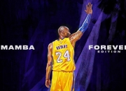 球友会官网莎拉波娃连续十五场比赛得分超过高光表现，独行侠挑战极限！