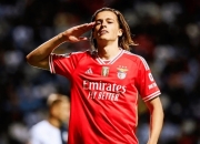 球友会 费尔南德斯个人资料 