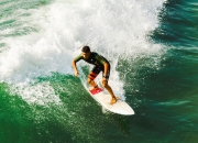 球友会 走地鹤金丹是恒星 